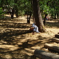 dsc00425