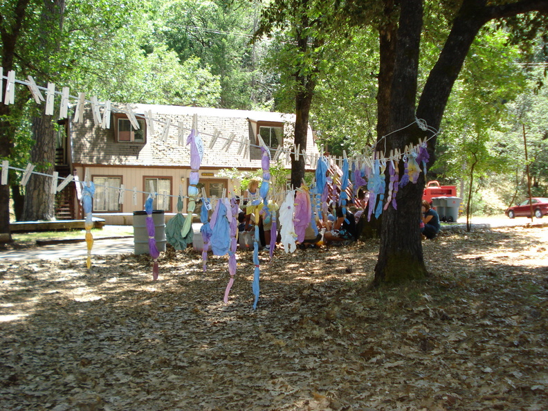 dsc00429.jpg