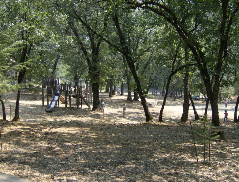hpim4731.jpg