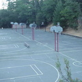 mvc-007s